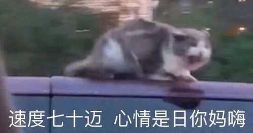 武磊上演大四喜赛后采访