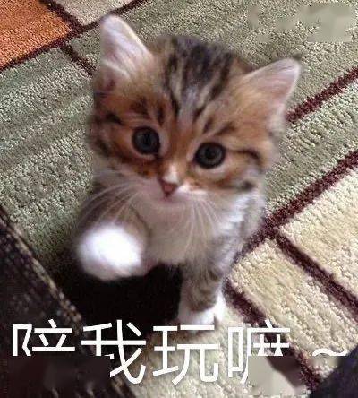 奇怪的表情增加了