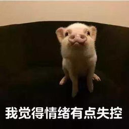 腾讯阿里网易是这样招人的这些面试黑话词总有一个你不知道