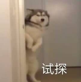 眉毛很粗的狗表情包